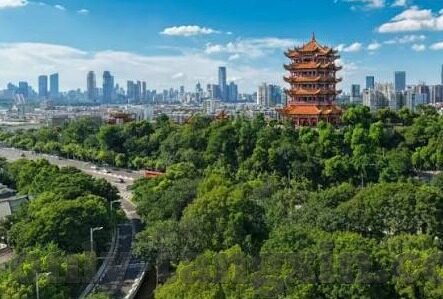 91麻豆视频国产-91麻豆视頻——国产影像艺术的多元视角与文化探讨