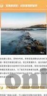 大象传媒短视频观看-探索大象传媒短视频的魅力，一场视觉与创意的盛宴