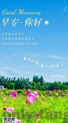 麻豆95在线视频-麻豆95，互联网文化的一抹独特风景