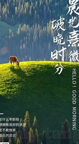 麻豆短视频免费-麻豆短视频，免费时代的娱乐新风口