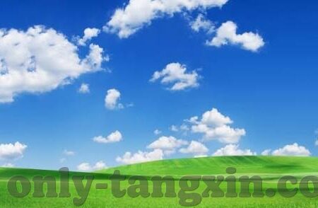 麻豆果冻传媒免费视频-探寻成人娱乐内容的世界，麻豆果冻传媒免费视频的奥秘