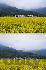 麻豆制媒app免费-麻豆制媒，引领免费内容新潮流