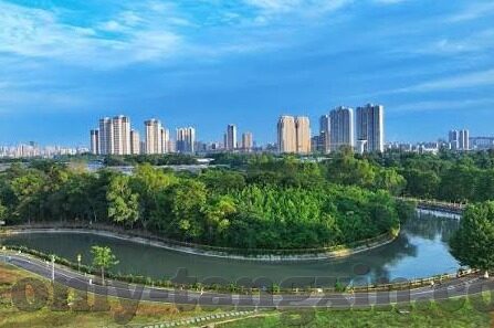 糖心app苹果测试版-解锁新视界，体验糖心App苹果测试版的前瞻之旅