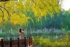 一区二区三区免费视频-探索网络视频的多元化视角，一区二区三区的免费视频现象